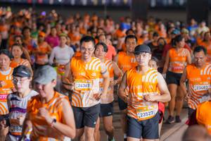 BIB: 270, 882, 24367, 23527, 199, 23483
                            <button type="button" onclick="openModal(22826370)" class="btn btn-primary btn-sm float-right btn-popup" data-toggle="modal" data-target=".modal-high-quality">
                        <i class="fas fa-shopping-cart"></i> Add to Cart
                    </button>
                                            <button type="button" onclick="isThisMe(22826370, true)" class="btn btn-success btn-sm float-right btn-popup btn-isme hidden" data-toggle="tooltip" data-placement="bottom" title="นี่คือรูปของคุณใช่ไหม คลิกที่นี่เพื่อเอาเข้าอัลบั้ม">
                        <i class="fas fa-plus"></i> Add to album
                    </button>
                    <button type="button" onclick="isThisMe(22826370, false)" class="btn btn-warning btn-sm float-right btn-popup btn-isnotme hidden">
                        <i class="fas fa-ban"></i> Remove from album
                    </button>